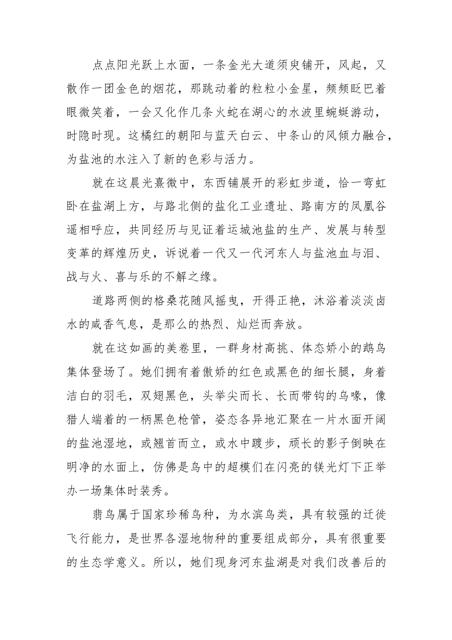 鹬舞盐湖弄琴音.docx_第2页