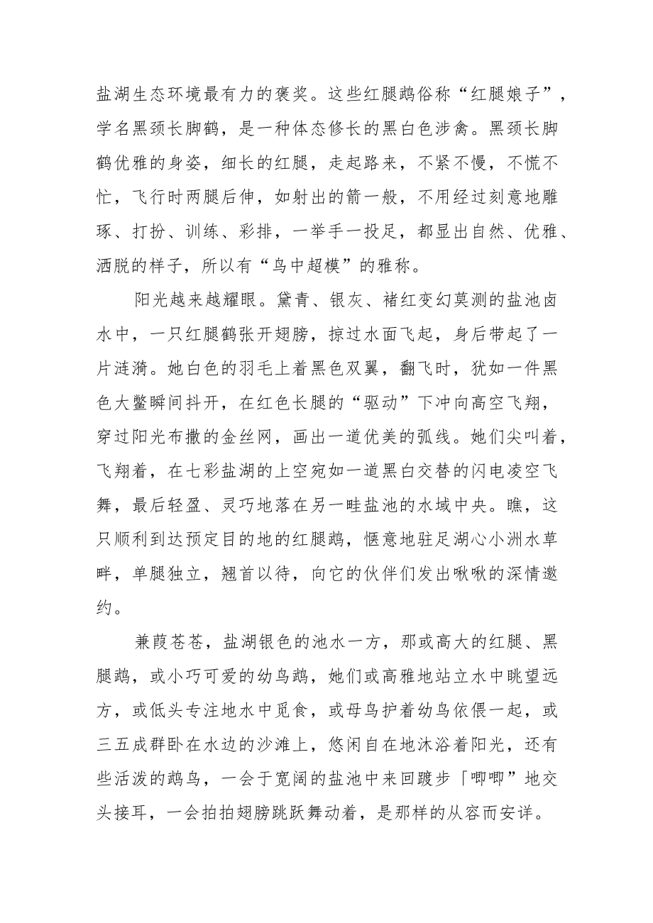 鹬舞盐湖弄琴音.docx_第3页