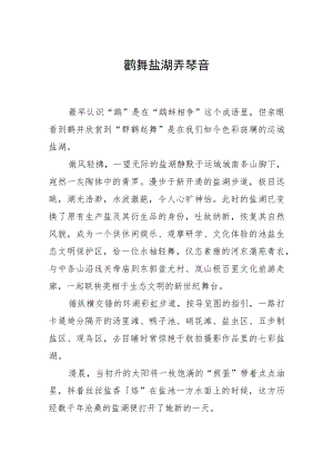 鹬舞盐湖弄琴音.docx