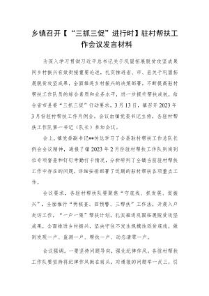乡镇召开【“三抓三促”进行时】驻村帮扶工作会议发言材料.docx
