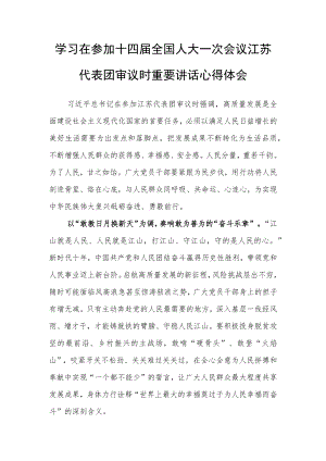 普通党员学习在参加十四届全国人大一次会议江苏代表团审议时重要讲话精神心得体会研讨发言材料【3篇】.docx
