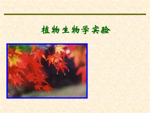 基础生物学实验.ppt