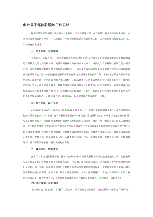 审计局干部挂职锻炼工作总结.docx