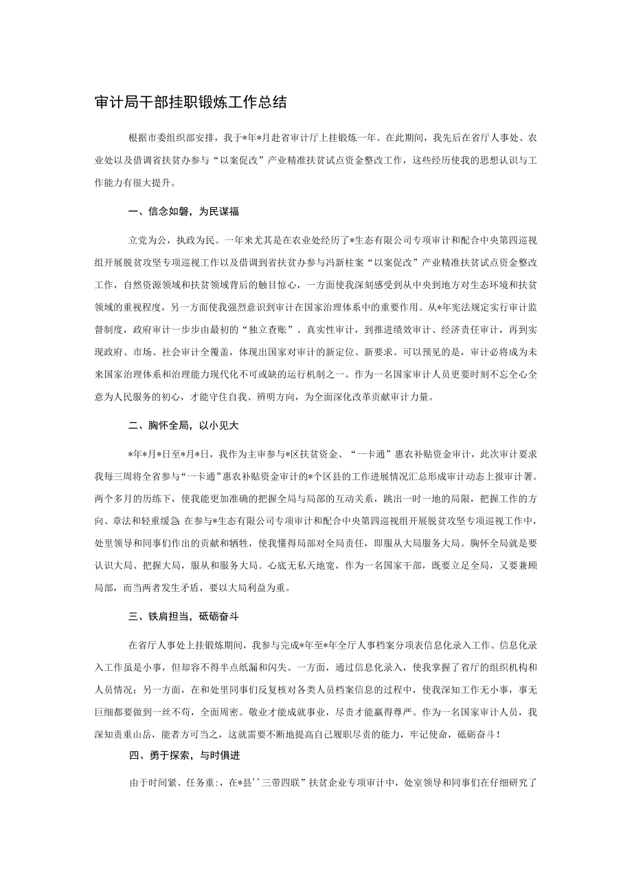审计局干部挂职锻炼工作总结.docx_第1页