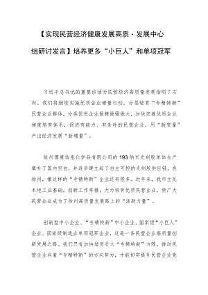 【实现民营经济健康发展高质量发展中心组研讨发言】培养更多“小巨人”和单项冠军.docx