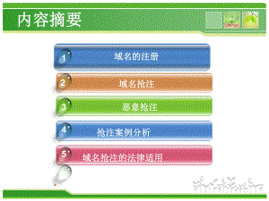 域名抢注案例分析.ppt