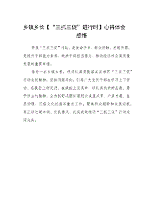 乡镇乡长【“三抓三促”进行时】心得体会感悟.docx