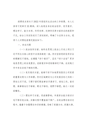 公司支部书记2022年度六个方面组织生活会个人发言提纲.docx