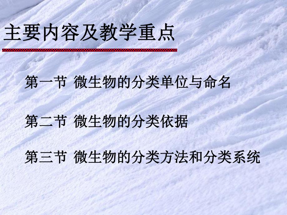 微生物分类学.ppt_第3页