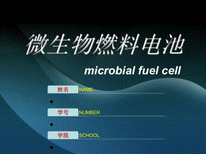 微生物燃料电池.ppt