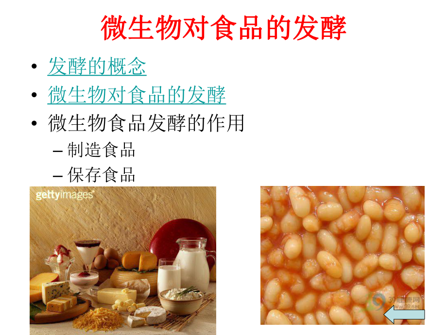 微生物与食品制造.ppt_第3页