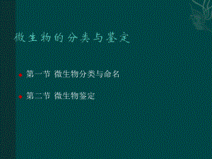 微生物的分类与鉴定.ppt
