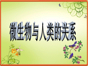 微生物与人类的关系.ppt