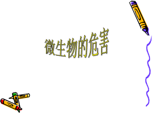 微生物的危害.ppt