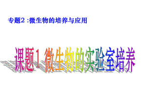 微生物的实验室培养课件.ppt