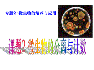 微生物的分离与计数.ppt