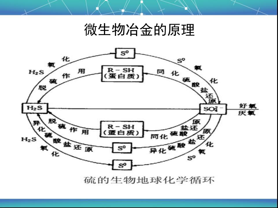 微生物冶金概述.ppt_第2页