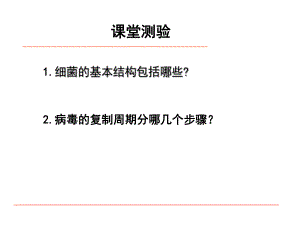 微生物与健康.ppt