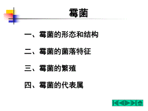 微生物(霉菌).ppt