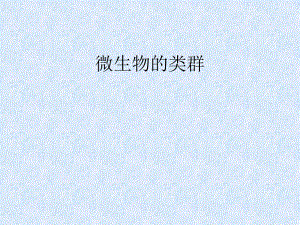 微生物的类型.ppt