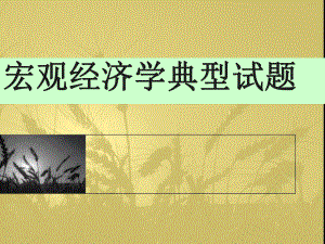 宏观经济学典型试题.ppt