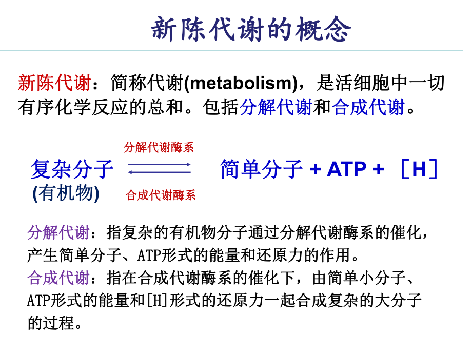 微生物的新陈代谢.ppt_第2页