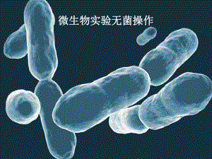 微生物无菌操作技术.ppt