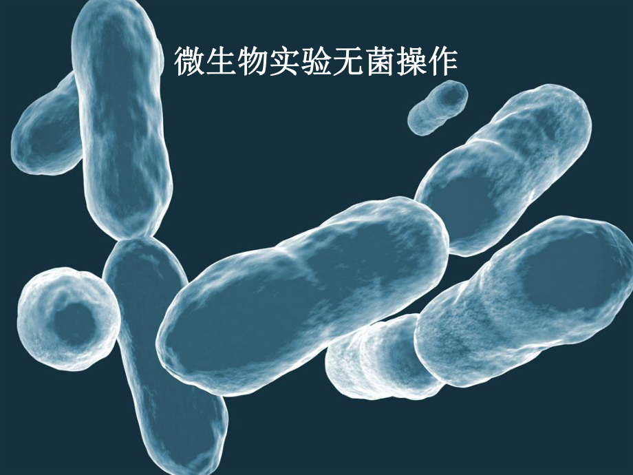微生物无菌操作技术.ppt_第1页