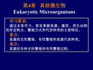 微生物课件4真核微生物..ppt