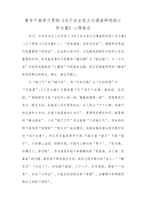青年干部学习贯彻《关于在全党大兴调查研究的工作方案》心得体会.docx