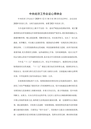 2021年中央经济工作会议心得体会一.docx