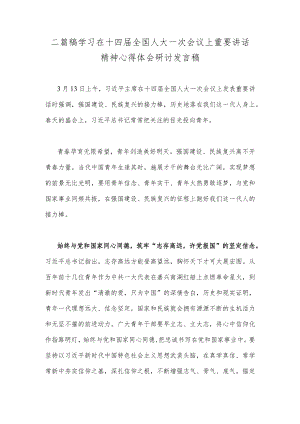 二篇稿学习在十四届全国人大一次会议上重要讲话精神心得体会研讨发言稿.docx