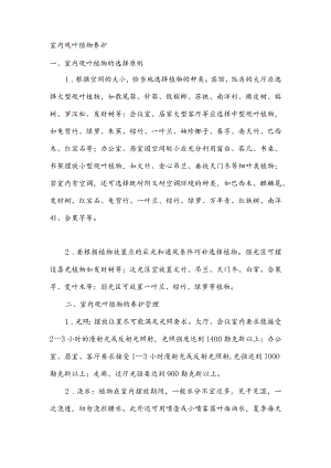 室内观叶植物养护.docx