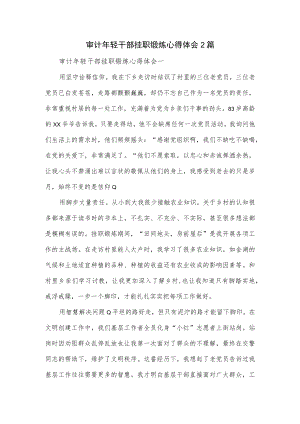 审计年轻干部挂职锻炼心得体会2篇.docx