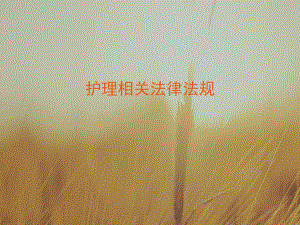 护理相关法律法规.ppt