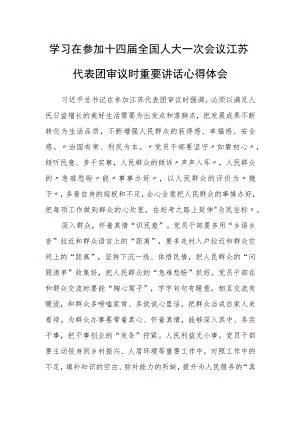 普通党员学习在参加十四届全国人大一次会议江苏代表团审议时重要讲话精神心得体会研讨发言【3篇】.docx
