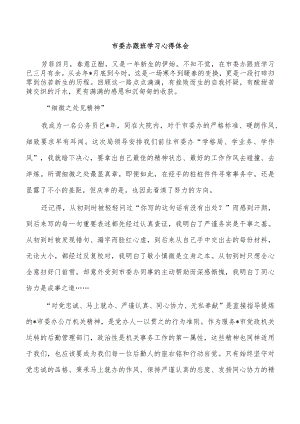 市委办跟班学习心得体会.docx