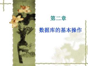 数据库基本操作.ppt