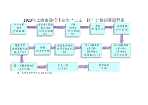 2023年上海市高校毕业生“三支一扶”计划招募流程图.docx