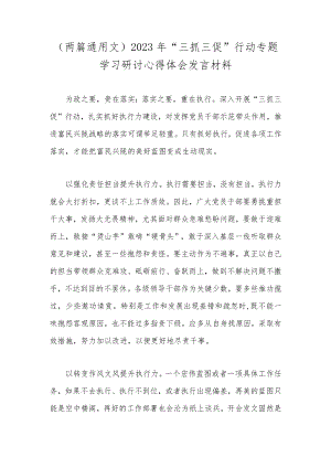 （两篇通用文）2023年“三抓三促”行动专题学习研讨心得体会发言材料.docx