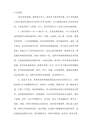 十月花事.docx