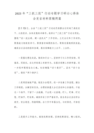 2023年“三抓三促”行动专题学习研讨心得体会发言材料简稿两篇.docx