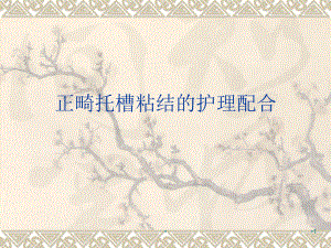 托槽粘结PPT医学课件.ppt