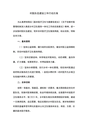 村医队伍建设三年行动方案.docx