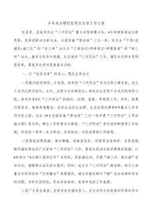 乡河道治理经验亮点总结工作汇报.docx