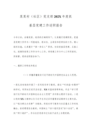 某某村（社区）党支部202X年度抓基层党建工作述职报告.docx