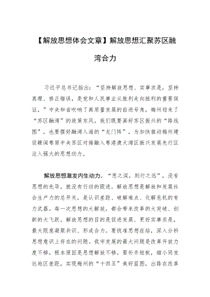 【解放思想体会文章】解放思想汇聚苏区融湾合力.docx