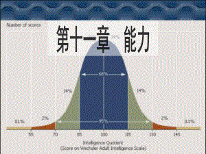 心理学11能力.ppt