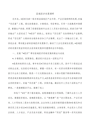 县域经济发展调研.docx