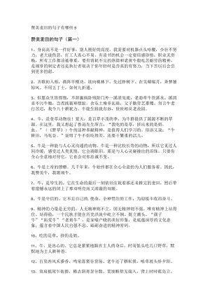 赞美麦田的句子有哪些.docx